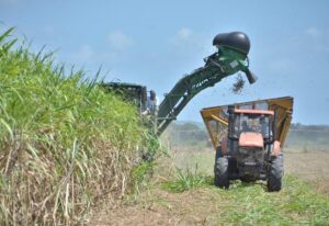 Gov't to put former sugar cane lands to productive use - Vimarsana News