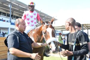 Teflon Don catches the eye in debut win - Vimarsana News