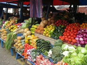 Agri sector bemoans decline of traditional produce - Vimarsana News