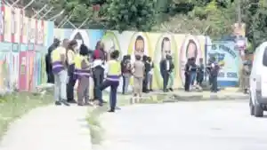 In the country with MINI - Jamaica Observer - Vimarsana News