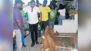 Trelawny's agriculture a priority, says Green - Vimarsana News