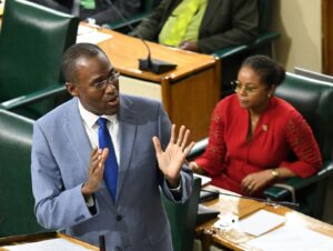 $95m earmarked for IWEco project - Jamaica Observer - Vimarsana News