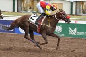 A double for trainer Howard Jaghai - Jamaica Observer - Vimarsana News