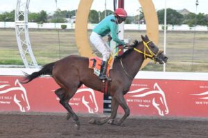 JRC to honour female stewards today - Jamaica Observer - Vimarsana News