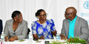 Export platform under JSWIFT 90 % complete - Jamaica Observer - Vimarsana News