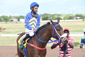 Champion Bubbler a cinch to win Temperence Oaks - Vimarsana News