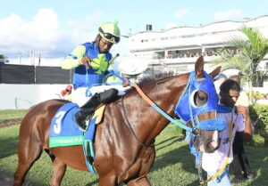 Desert of Malibu faces Mahogany in Lady Geeta Trophy - Vimarsana News