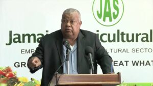 'Nobody interested in agriculture' - Jamaica Observer - Vimarsana News
