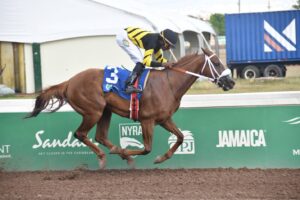 A victory for the ages - Jamaica Observer - Vimarsana News