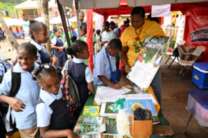 Jamaica 4-H Clubs embarks on new initiative - Jamaica Observer - Vimarsana News