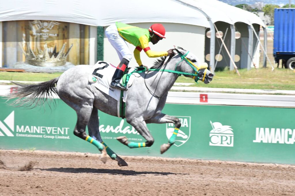 Run Julie Run primed for Thornbird Stakes win - Vimarsana News