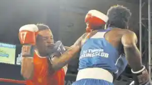 GOING THE DISTANCE - Jamaica Observer - Vimarsana News