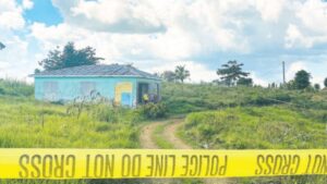 House of crimes - Jamaica Observer - Vimarsana News