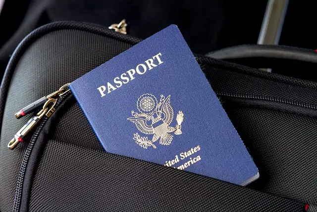 American charged after ammunition allegedly found in luggage - Vimarsana News