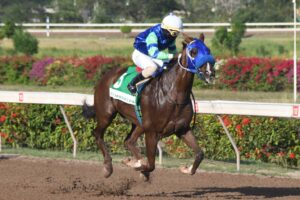 Mahogany to brush aside rivals in Seeking My Dream Trophy - Vimarsana News