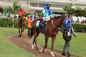 Mahogany to lead home rivals in Seeking My Dream Trophy feature - Vimarsana News