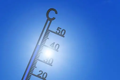 Heat islands spell trouble - Jamaica Observer - Vimarsana News