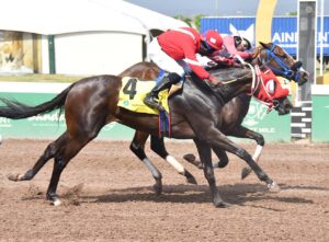 Teflon Don 'in the glass' - Jamaica Observer - Vimarsana News