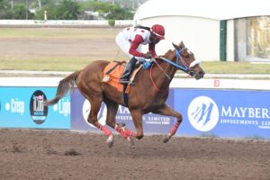 California Crown looking for two from two - Jamaica Observer - Vimarsana News