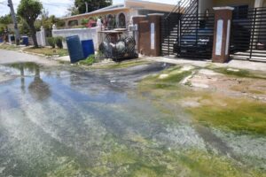Smelly situation in Portmore - Jamaica Observer - Vimarsana News