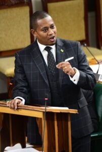 2,500 irrigation kits for small farmers - Jamaica Observer - Vimarsana News