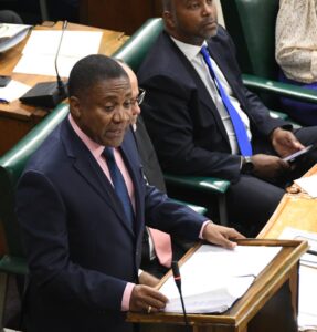 Low energy Government - Jamaica Observer - Vimarsana News