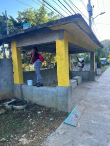 Lots of labour in Westmoreland - Jamaica Observer - Vimarsana News