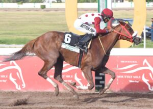 Thalita makes seasonal debut in Labour Day feature - Vimarsana News