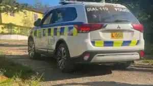 ‘Boxer’ killed by police in Davyton, Manchester, firearm seized ...