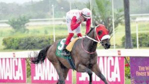 Intrestntimesahead favoured for glory in The Kingston - Vimarsana News