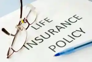 Grandma collected life insurance, kids out in the cold - Vimarsana News