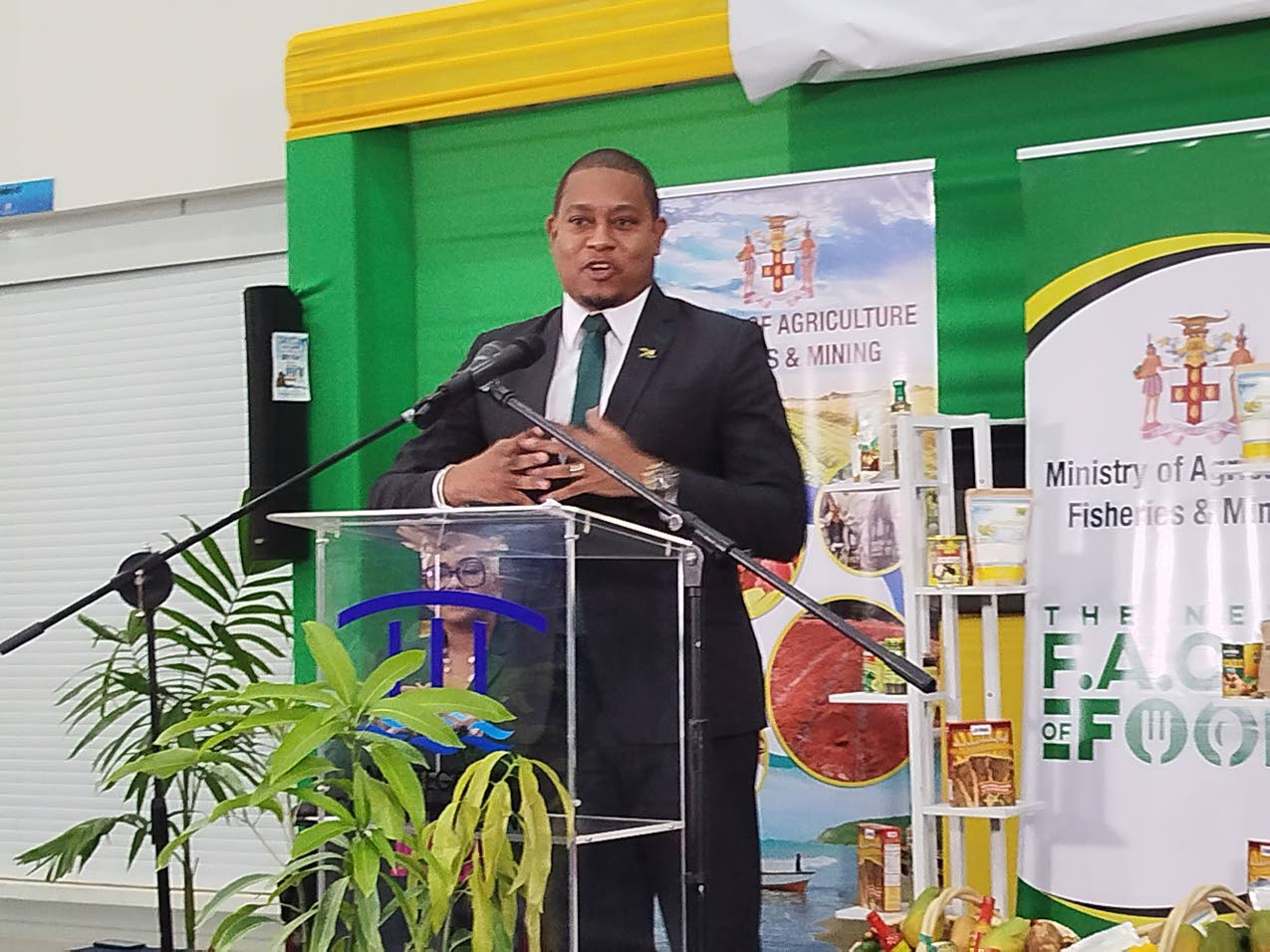 Green promises protection for authentic J’can cuisine - Jamaica Observer