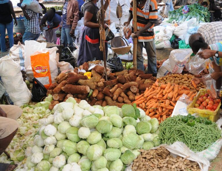 Food prices stabilising postBeryl, Senator Hill says Jamaica Observer