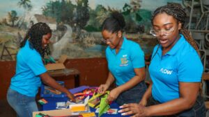 Flow Foundation – Jamaica Observer