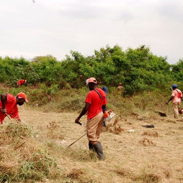 Young Windies to face England in opener Jamaica Observer