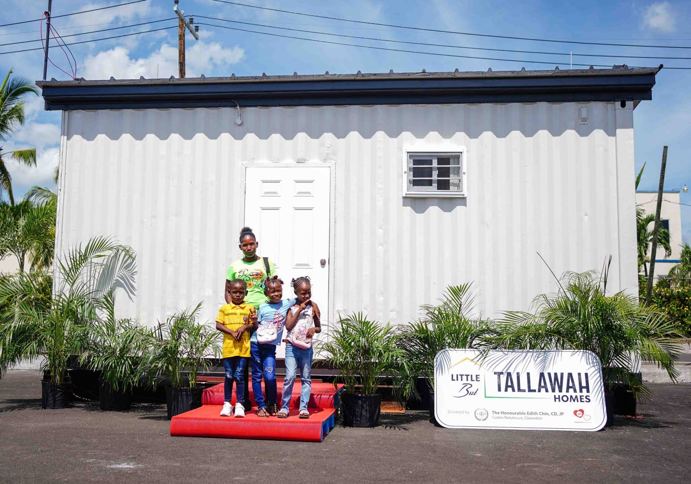 Edith Chin eyes real estate market with ‘Little But Tallawah’ homes