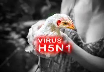 Guyana steps up bird flu surveillance amid outbreak in Suriname