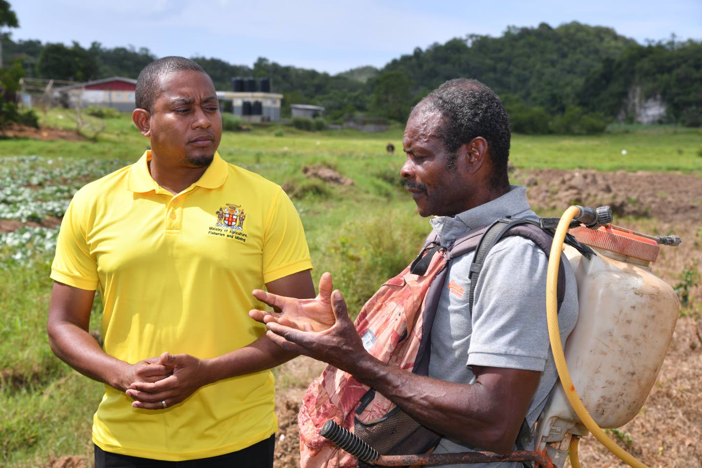 Gov’t provides 40 million in support to banana/plantain farmers