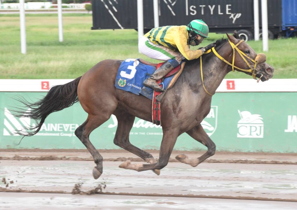 Dane Dawkins claims 400 career winners Jamaica Observer