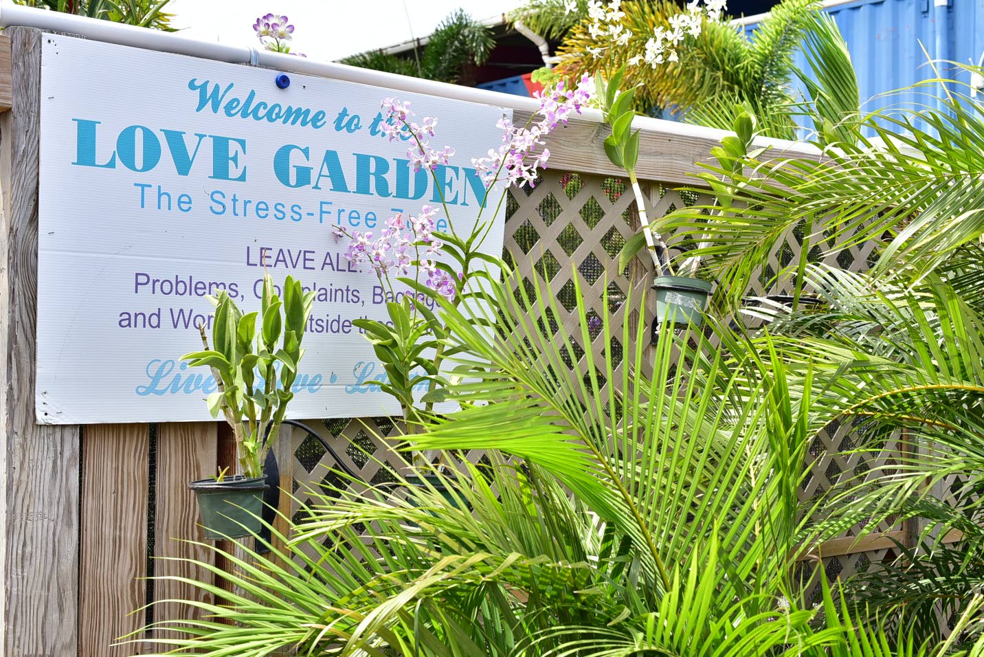 Howard Ward’s Love Garden Part 2 Jamaica Observer