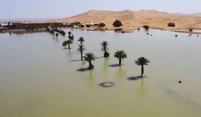 Rare rainfall causes flooding to sections of Sahara desert - Jamaica ...