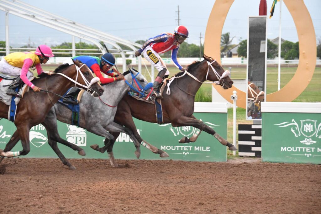 Crown Chaser, Run Julie Run battle for supremacy in Errol ‘Big Sub