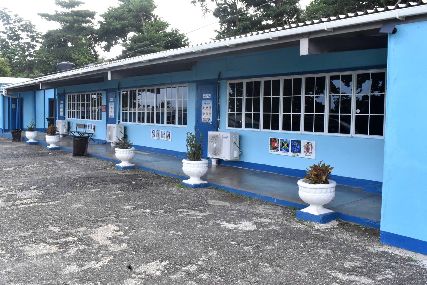 Ahead of the pack Jamaica Observer