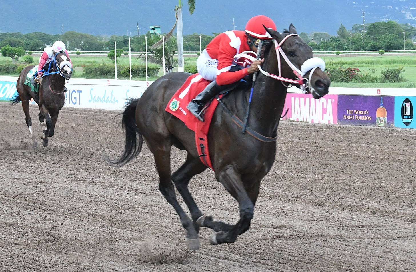 Crown Chaser, Run Julie Run battle for supremacy in Errol ‘Big Sub