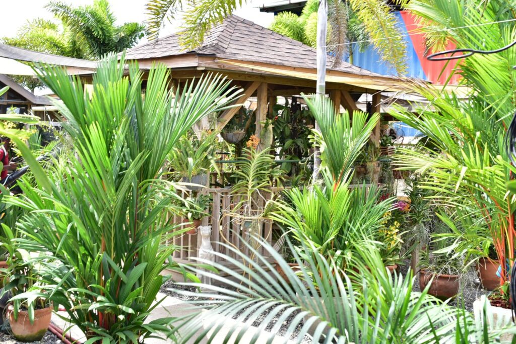 Howard Ward’s Love Garden Part 2 Jamaica Observer