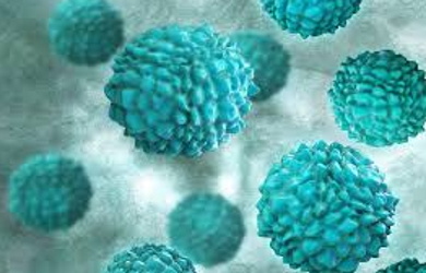 Vincentians warned against presence of norovirus