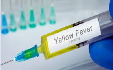 PAHO issues new epidemiological alert amid rising yellow fever cases in the Americas
