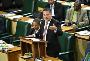 Öffentlicher Strandpark in Negril soll dieses Jahr entstehen