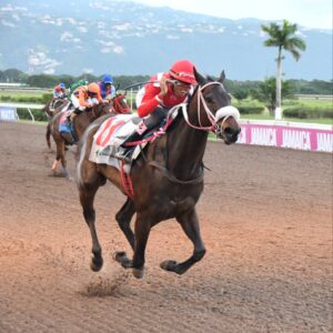 Unbelievable Force eyes victory in Millard Ziadie Memorial Cup