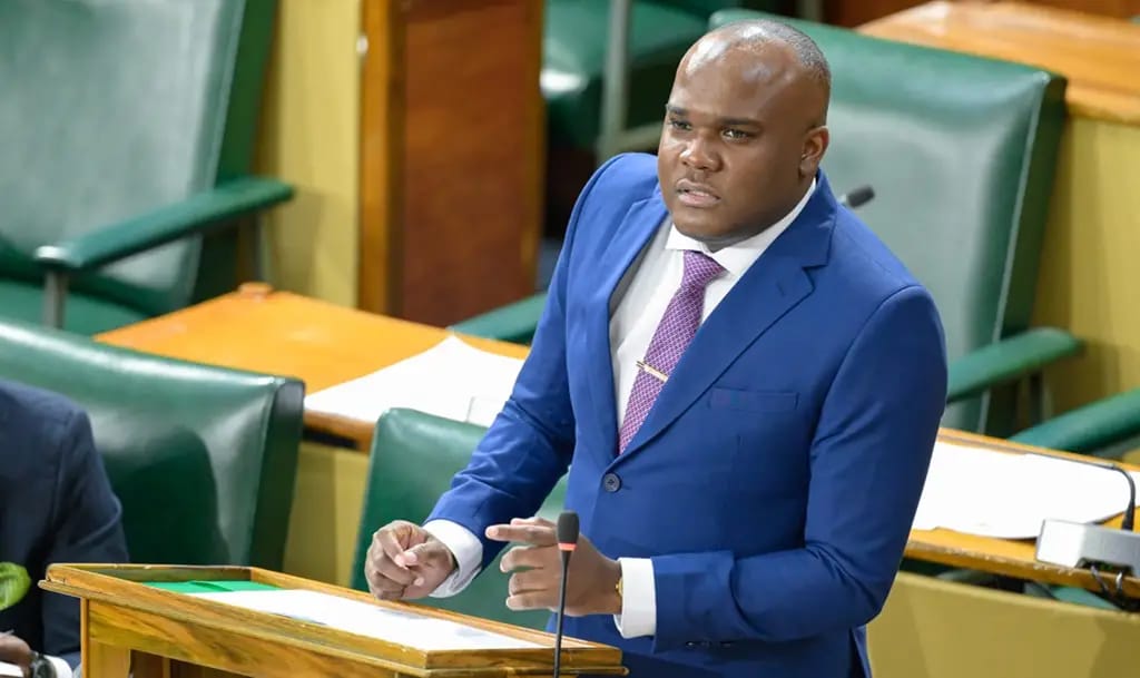 Fitz-Henley cautions Swaby for attempting to strong-arm media